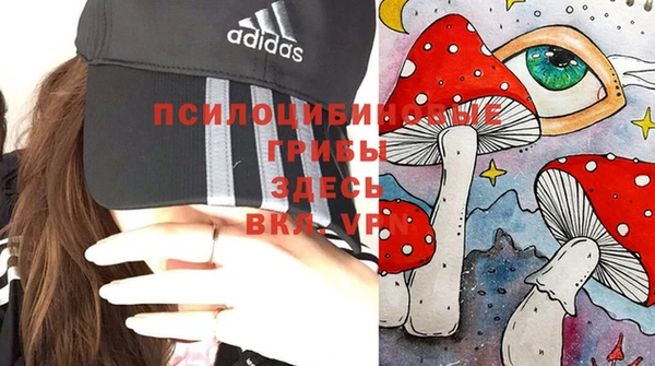 прущие грибы Лагань