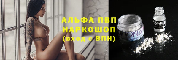 прущие грибы Лагань