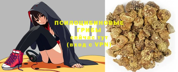 прущие грибы Лагань
