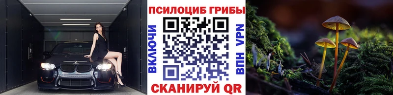 Галлюциногенные грибы GOLDEN TEACHER  продажа наркотиков  блэк спрут tor  Южноуральск 